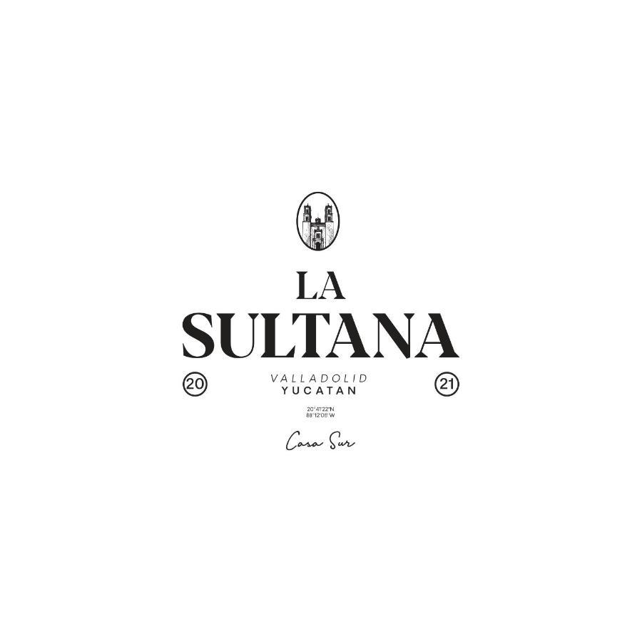 Villa La Sultana: Amazing New House With Pool And Bikes Included. Valladolid  Esterno foto