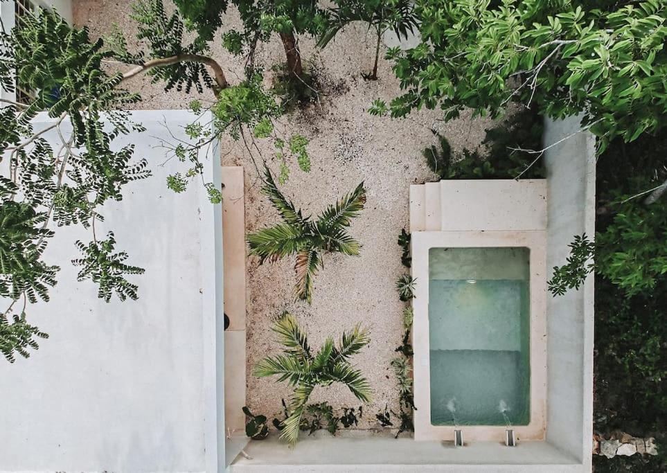 Villa La Sultana: Amazing New House With Pool And Bikes Included. Valladolid  Esterno foto