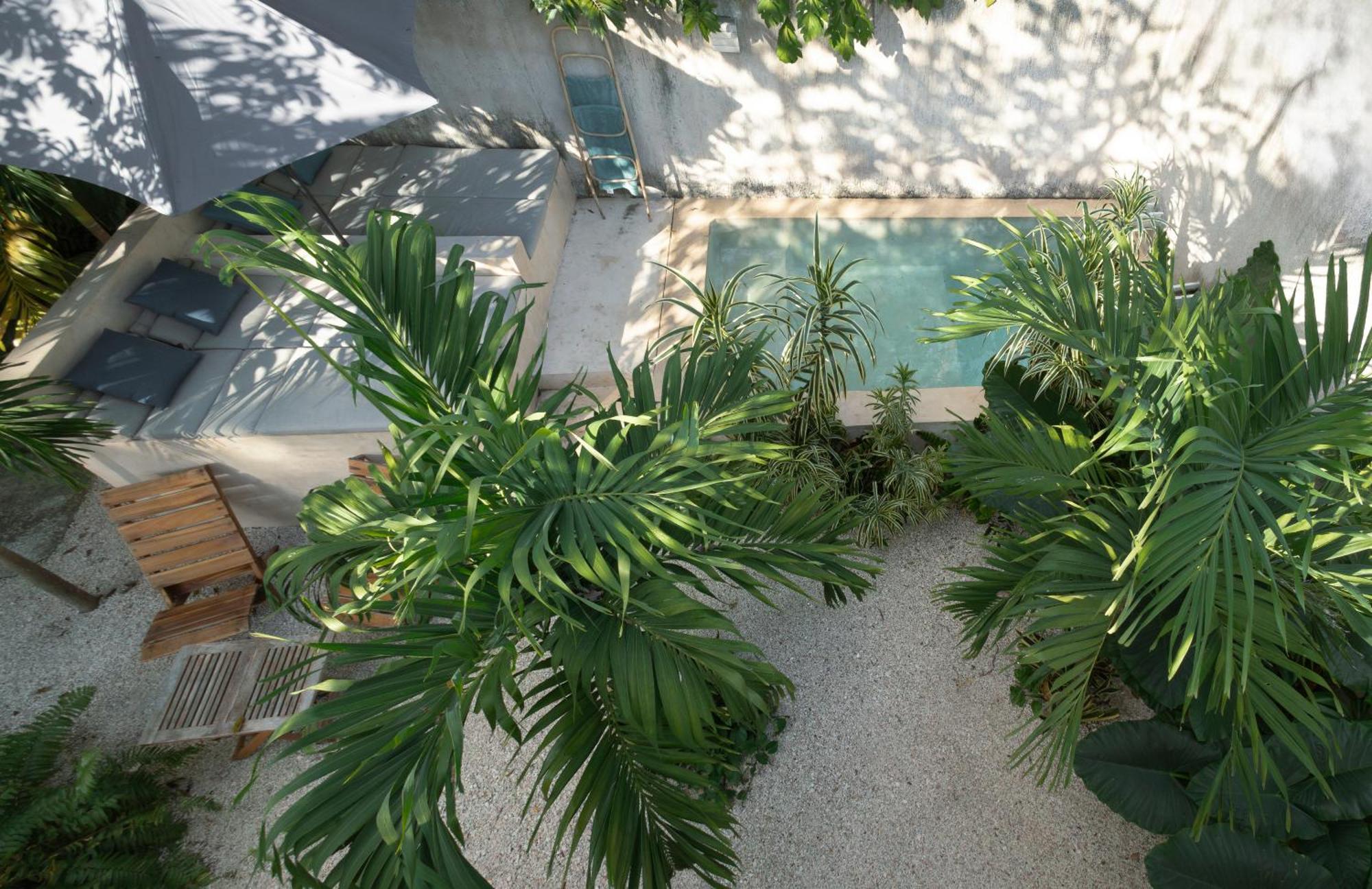 Villa La Sultana: Amazing New House With Pool And Bikes Included. Valladolid  Esterno foto
