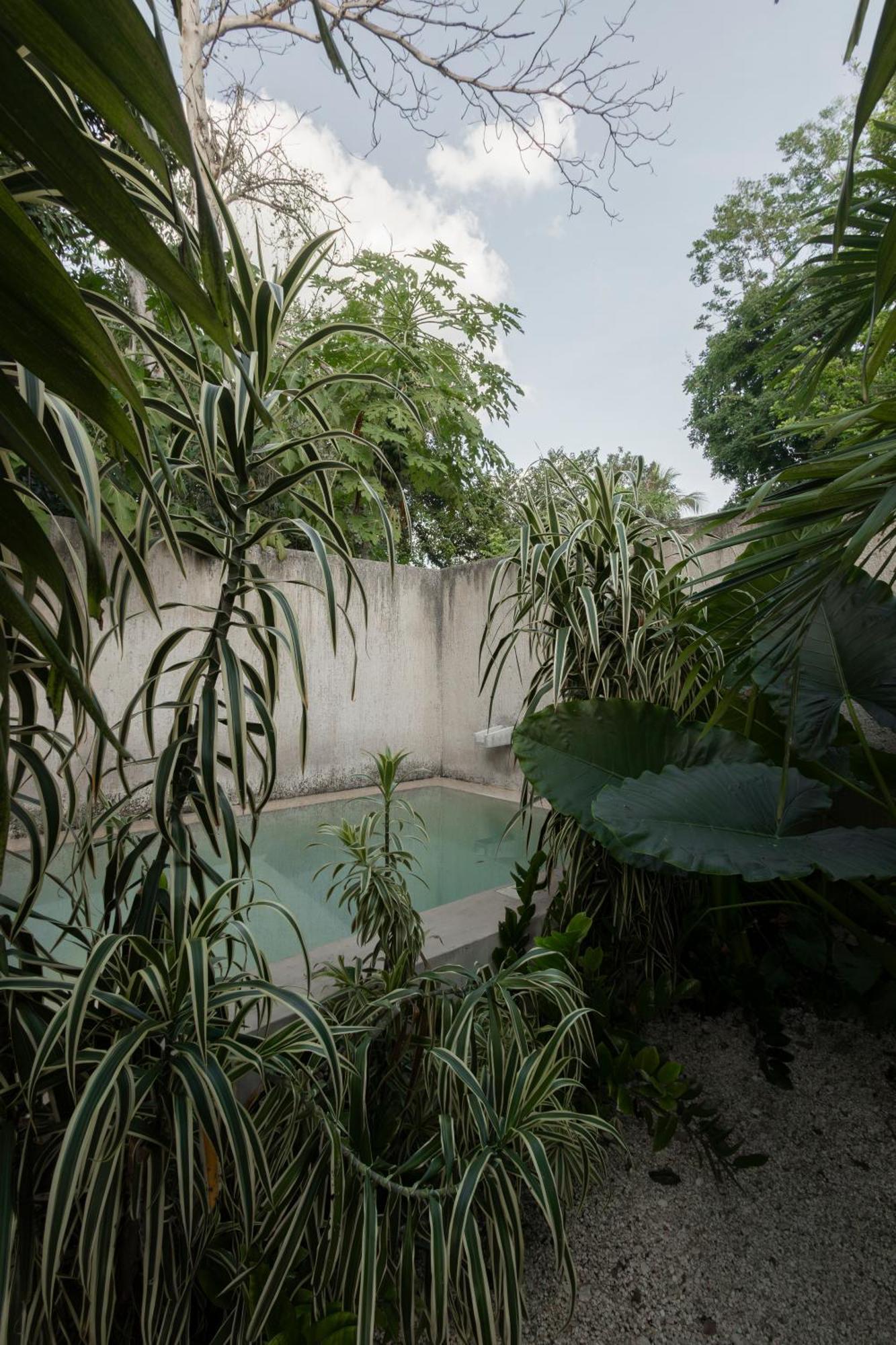 Villa La Sultana: Amazing New House With Pool And Bikes Included. Valladolid  Esterno foto