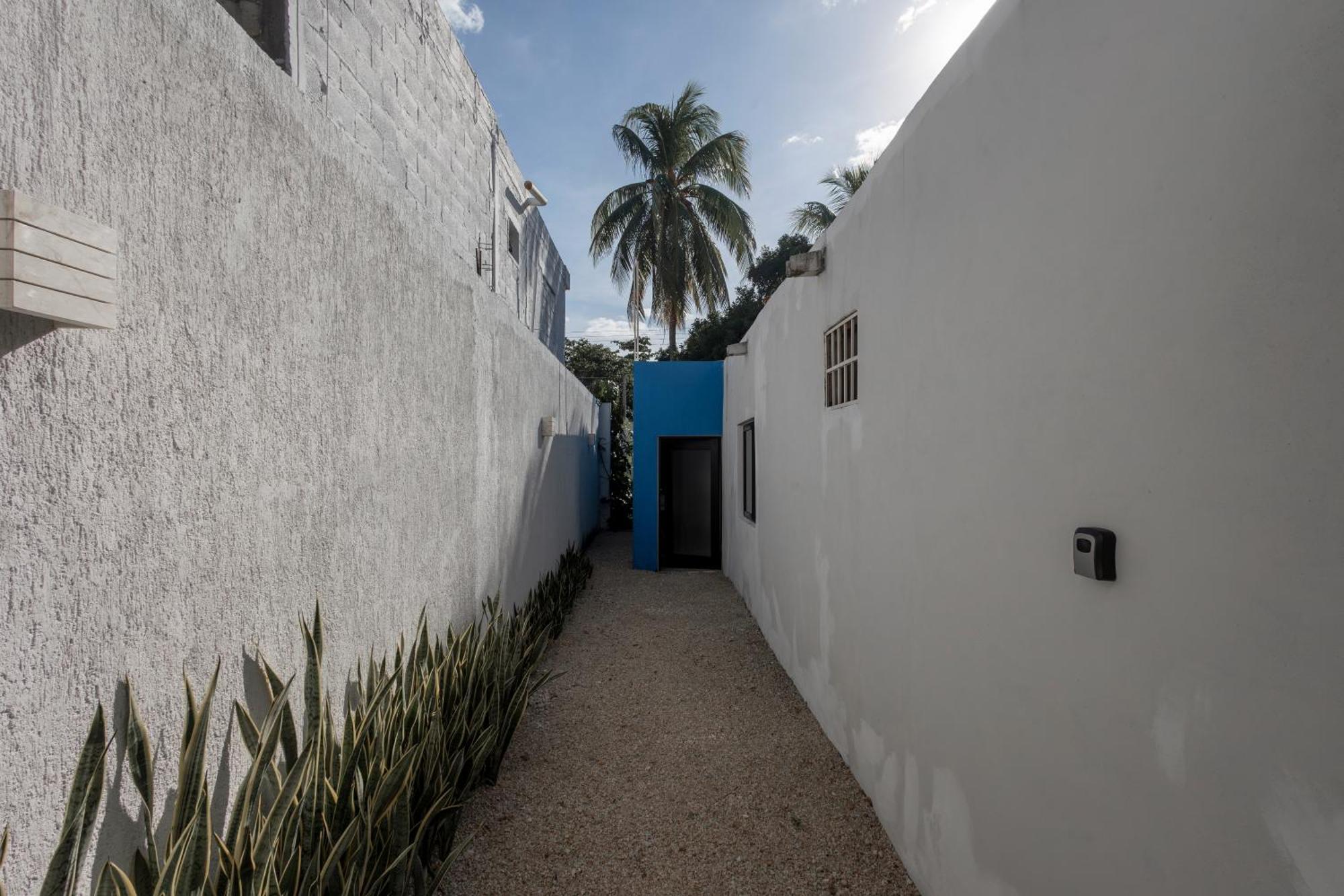 Villa La Sultana: Amazing New House With Pool And Bikes Included. Valladolid  Esterno foto