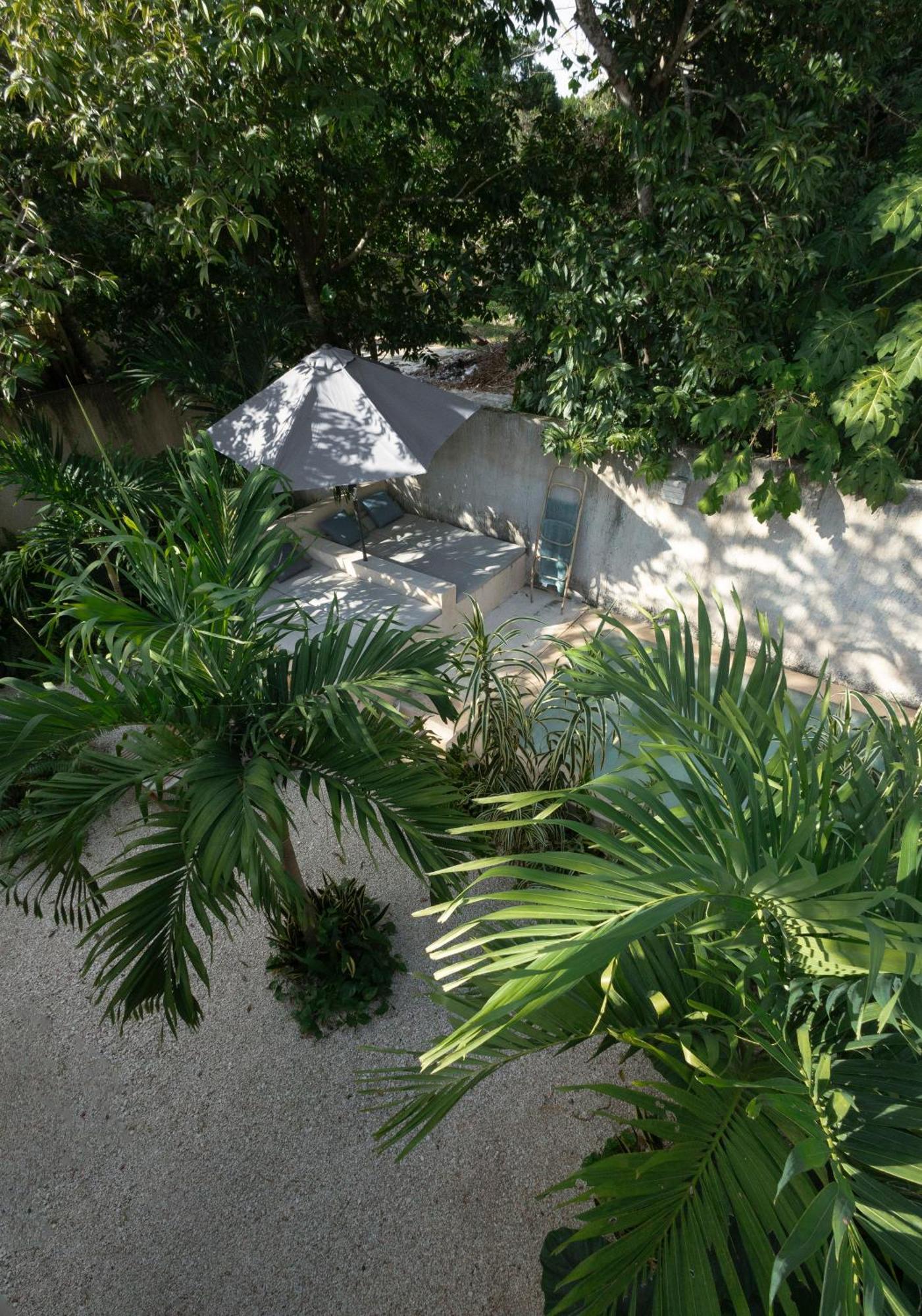 Villa La Sultana: Amazing New House With Pool And Bikes Included. Valladolid  Esterno foto